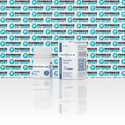 Achat de tamoxifen