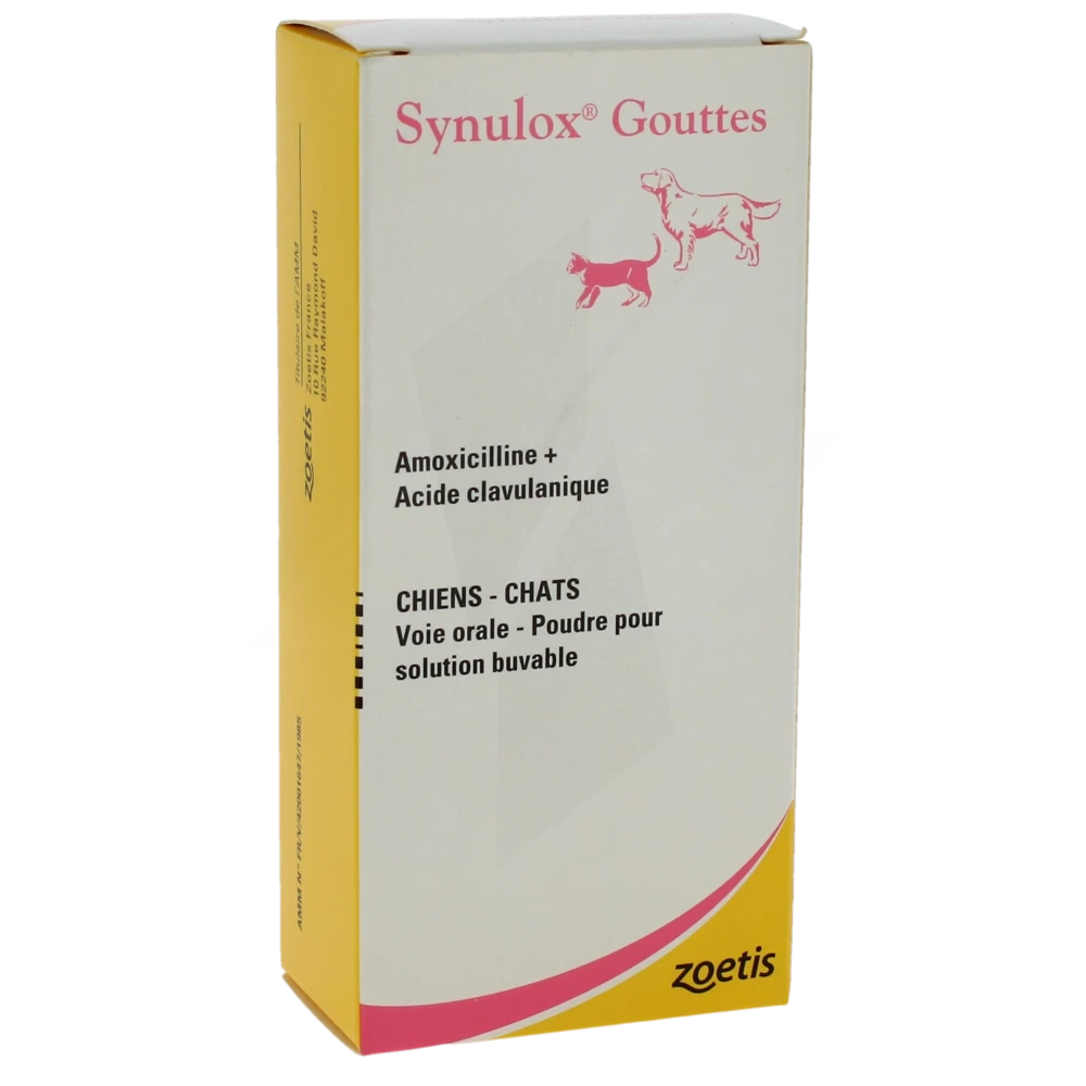 Amoxicilline chat achat