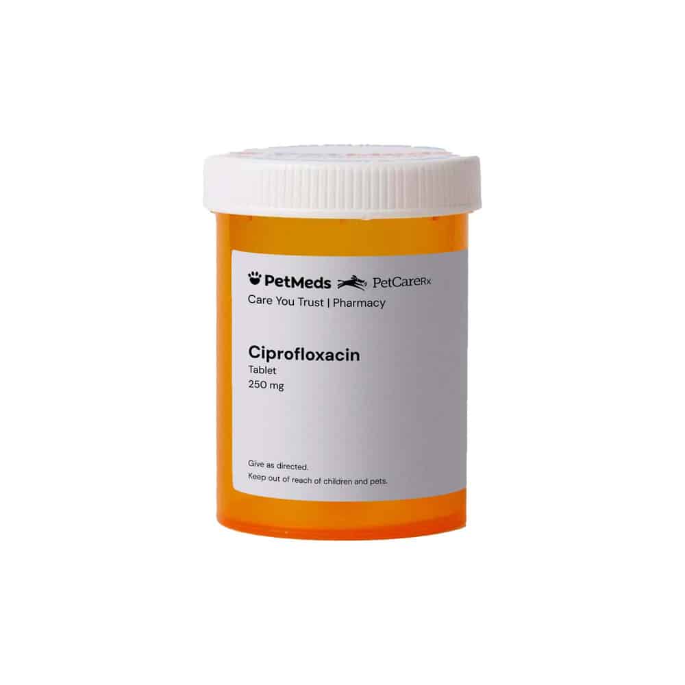 Ciprofloxacin Er 1000 Mg