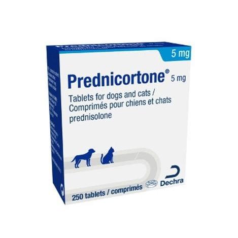 Coût Prednisolone