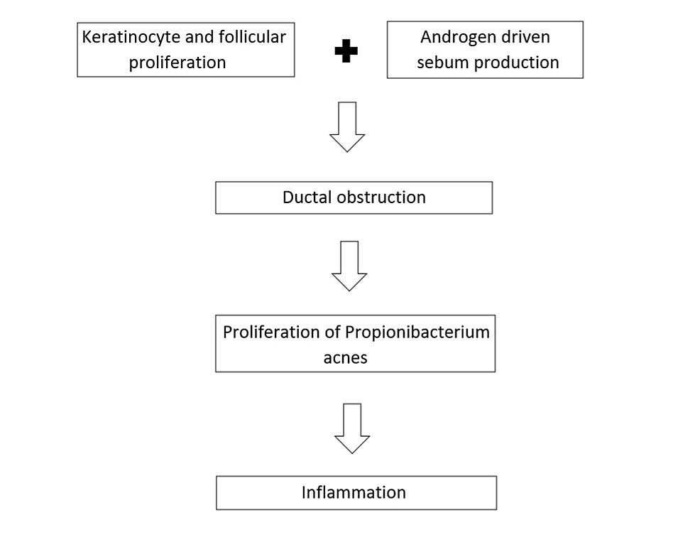 isotretinoin france