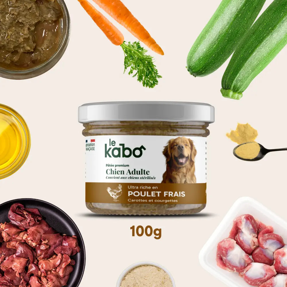 Ultram 50 mg pour chien