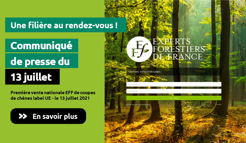 Acheter Forzest En Ligne
