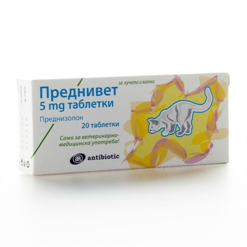 prednisolone 5mg chat prix