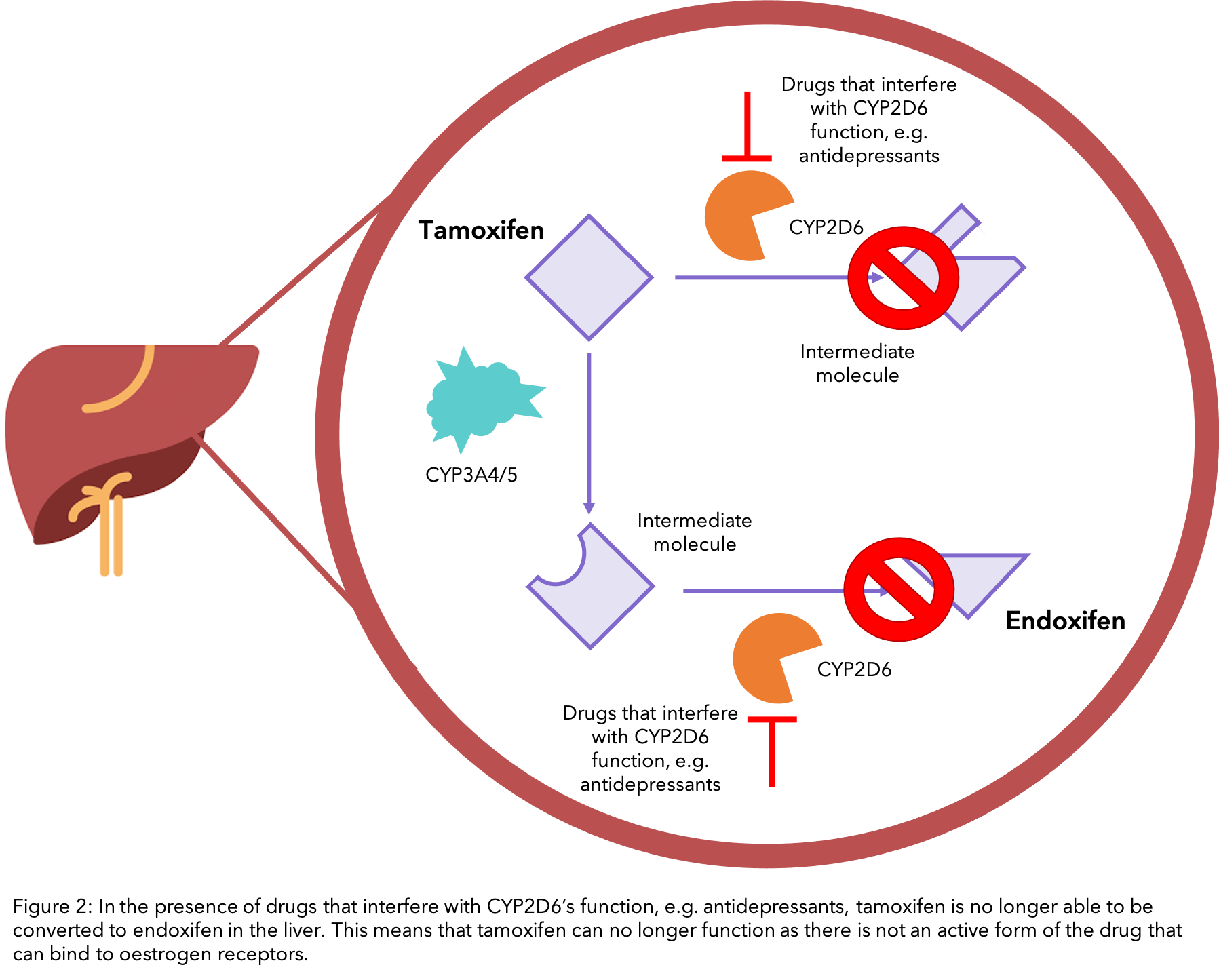 Tamoxifen pilule