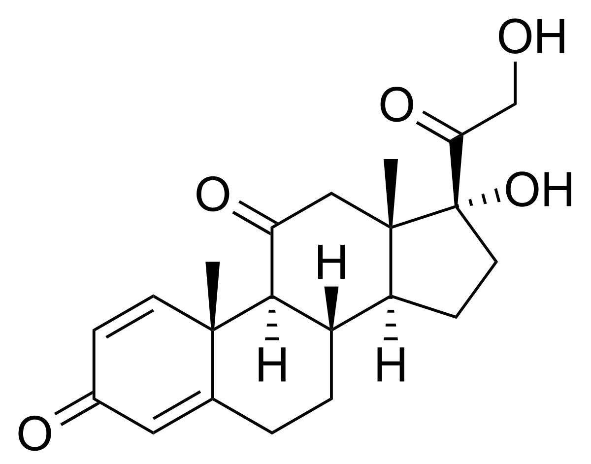 Acheter Du Prednisolone En Ligne