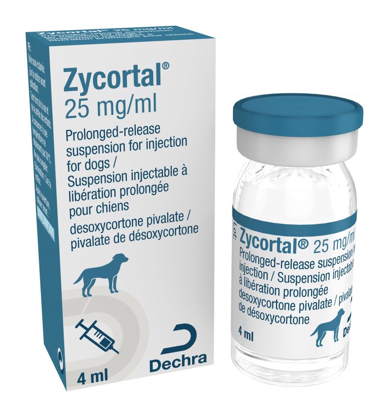 Acheter prednisolone 20 mg pour chien