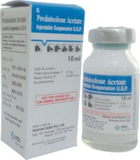 Acheter Prednisolone Sans Ordonnance