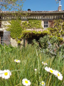 acheter provigil en france