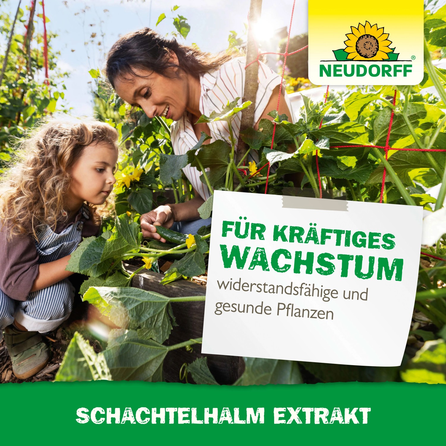 Acheter zaleplon