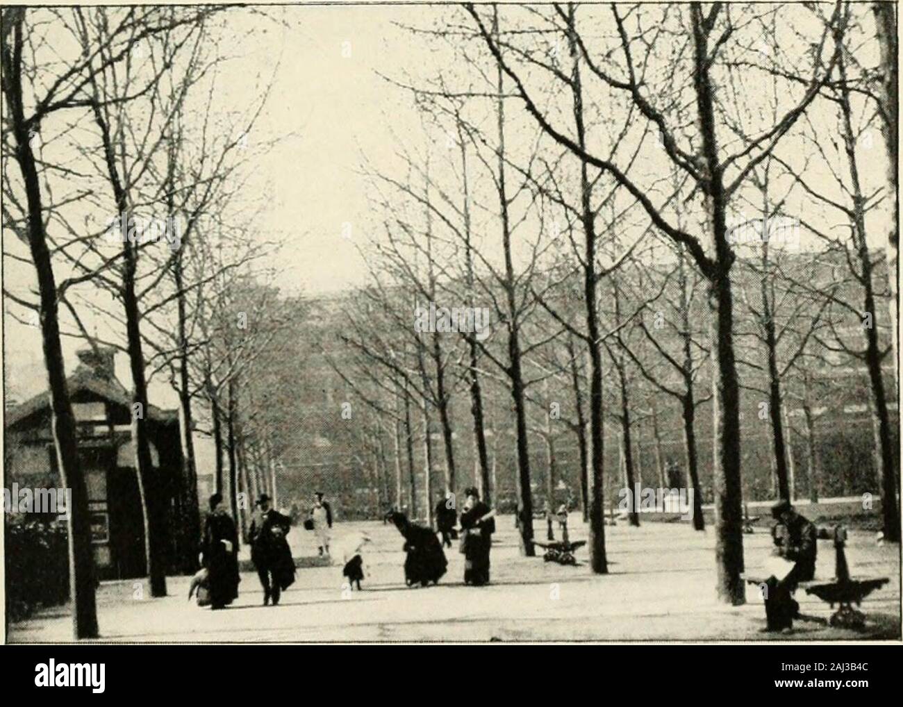 Alli bon marché