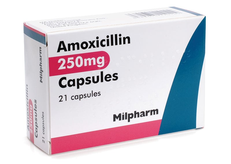 amoxicillin pilules