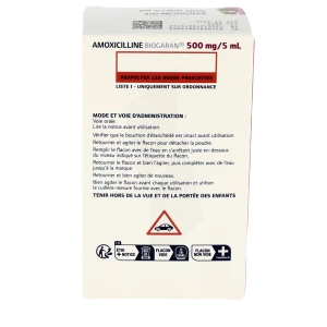 Amoxicilline 500 mg pour les dents