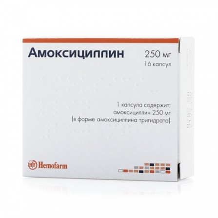 amoxicilline acheter