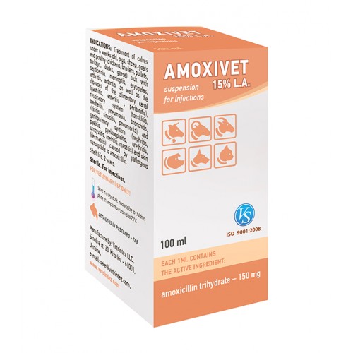 Amoxicilline pour chat prix