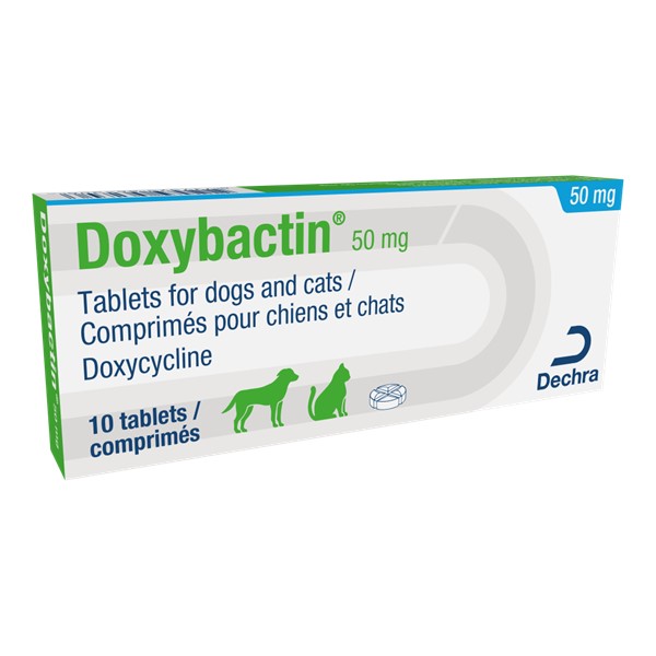 amoxicilline pour chat sans ordonnance