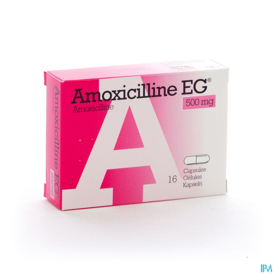 Amoxil 1g prix