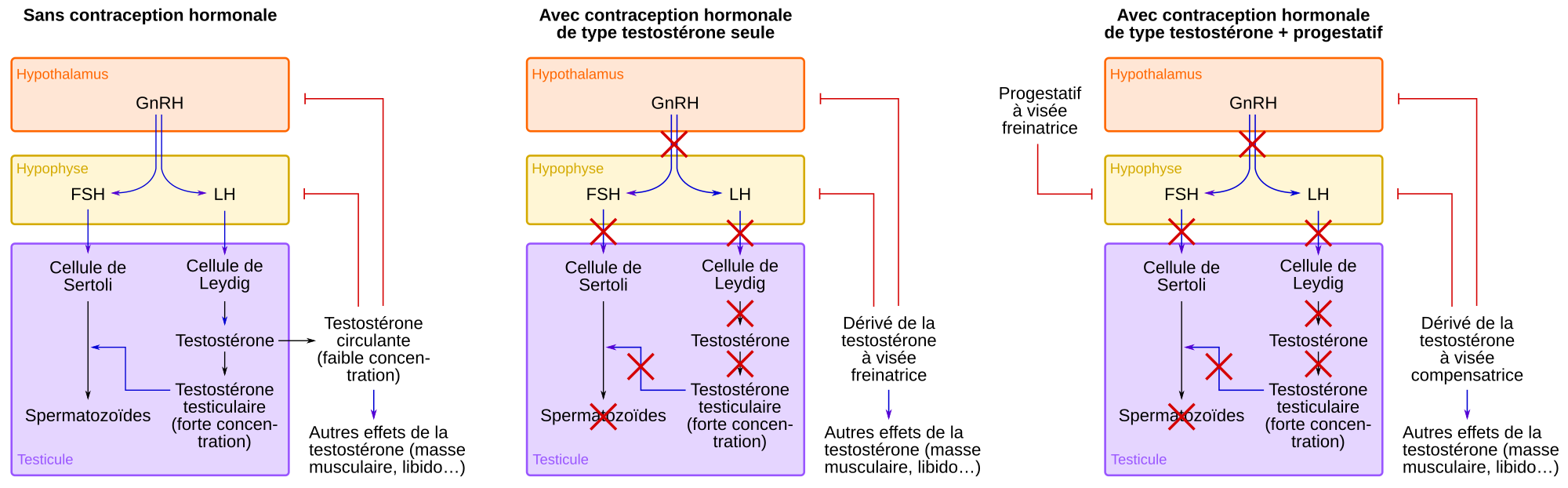 Antabuse pilule