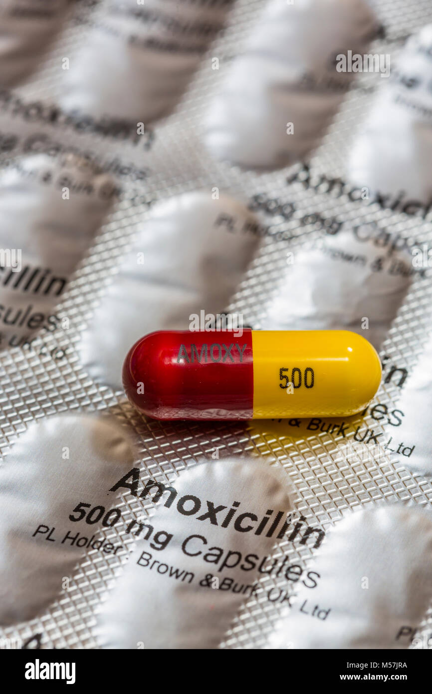 Pilule antibiotique amoxicilline