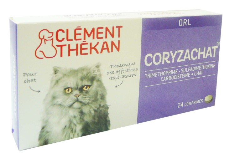 Doxycycline pour chat prix