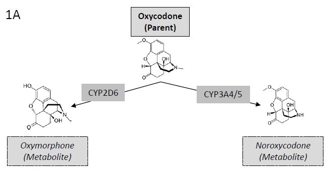 commander du clonazepam