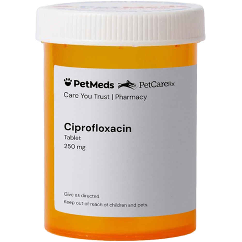 Ciprofloxacin 250 Mg