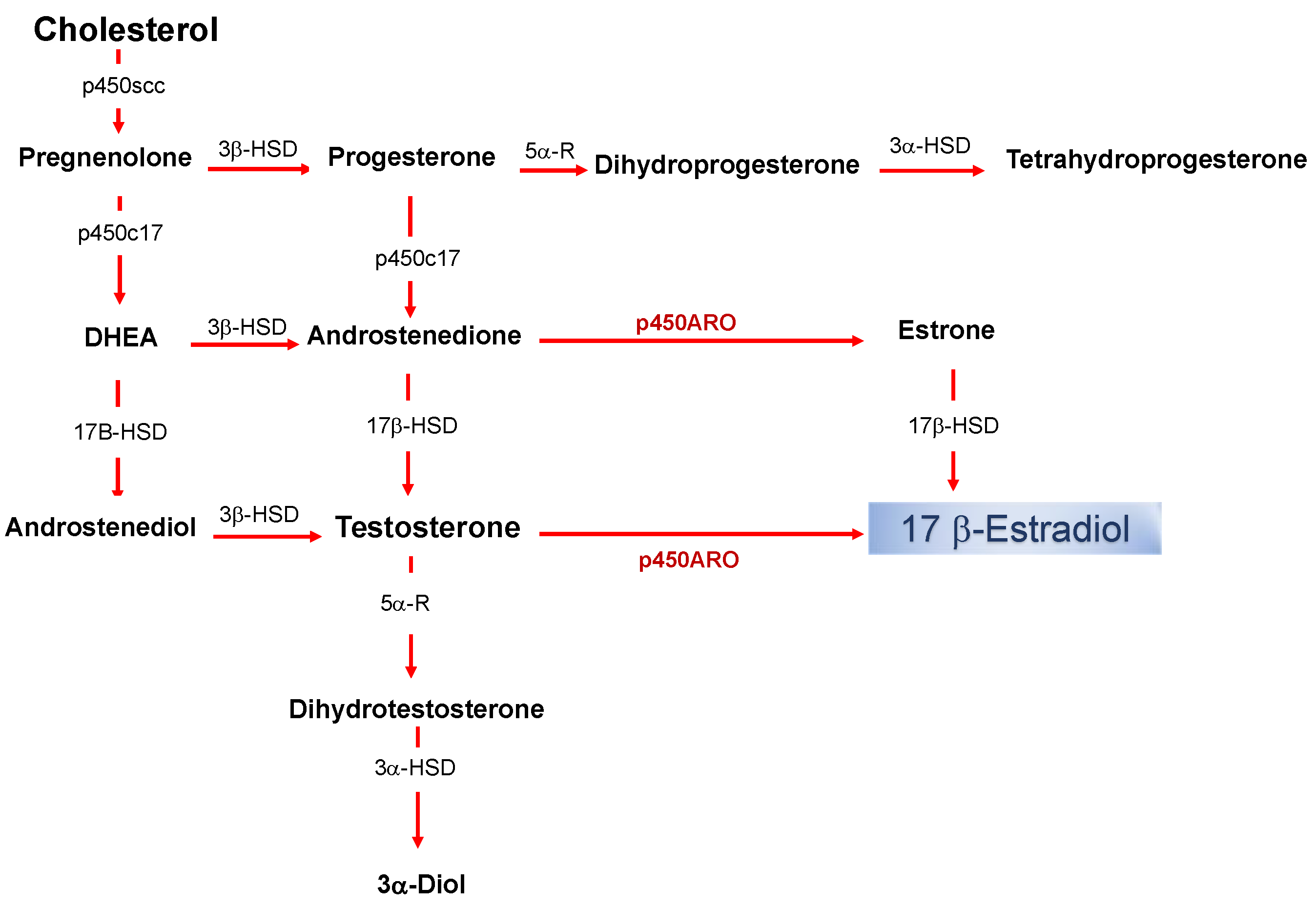 commander du prednisolone