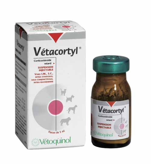 Comment Acheter Du Prednisolone