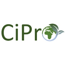 coût cipro