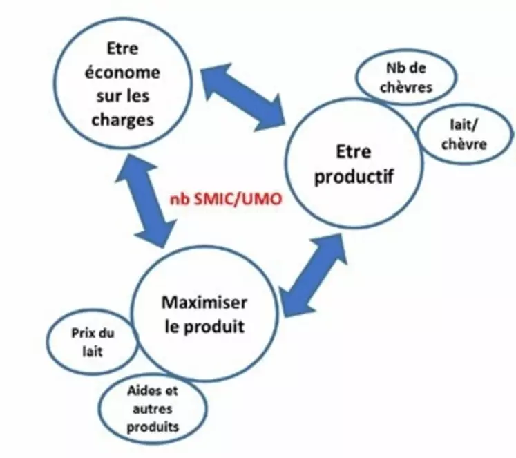 Coût Du Zimovane