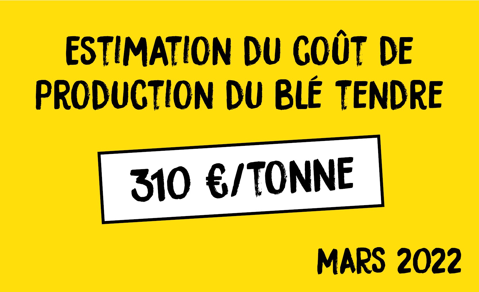 Coût Du Zimovane