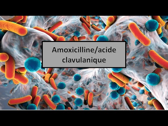 Augmentin generique amoxicilline