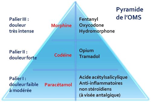 Tramadol est il un generique