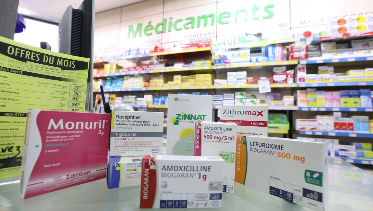 amoxicilline biogaran 1 g prix