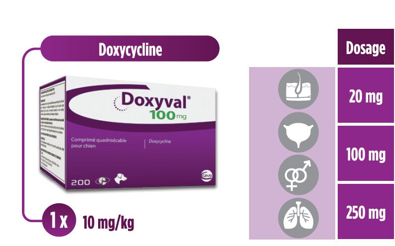 doxycycline sans ordonnance