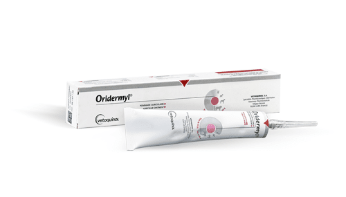 Amoxicilline pour chat prix