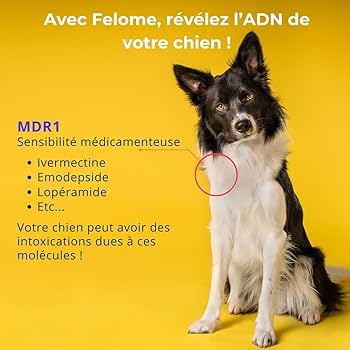 Ivermectine chien acheter