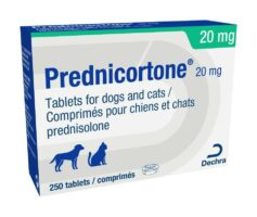 prednisolone 20mg prix