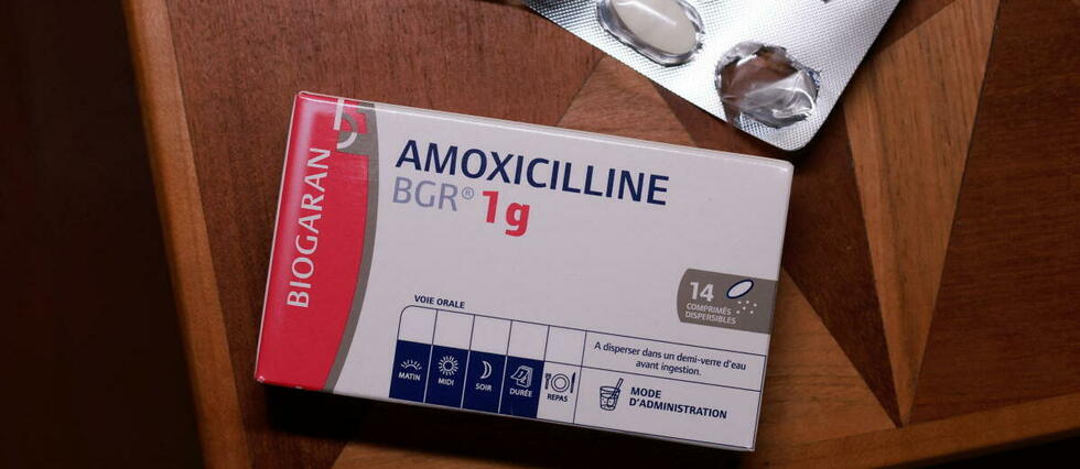 Amoxicilline biogaran 1 g prix