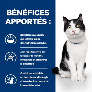 Amoxicilline pour chat sans ordonnance