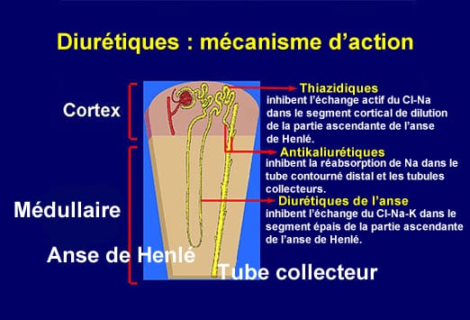 Furosemide moins cher