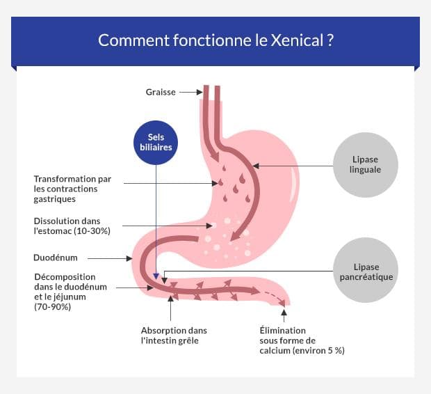 Generique du xenical