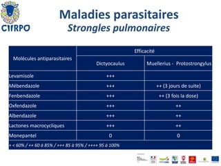 Mébendazole France Acheter