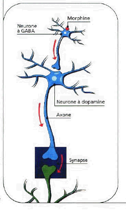 Ordre Imovane