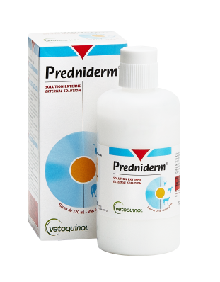 Prednisolone En France