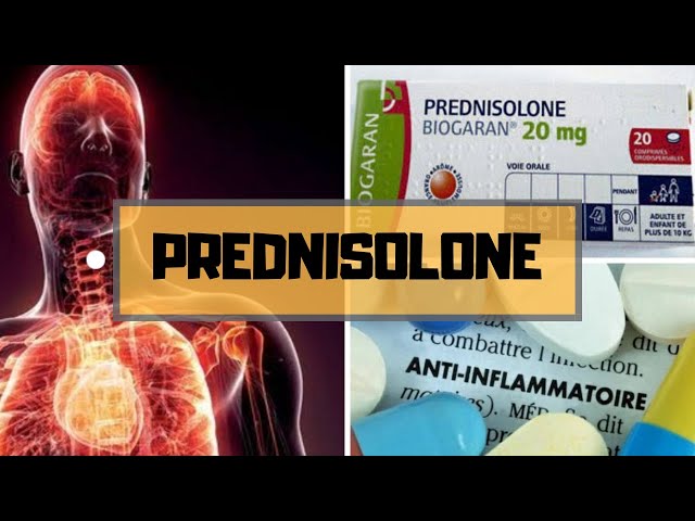 prednisolone france