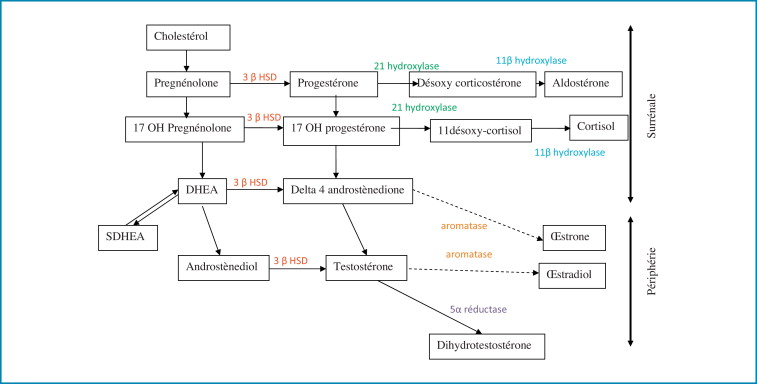 roaccutane pilule du lendemain