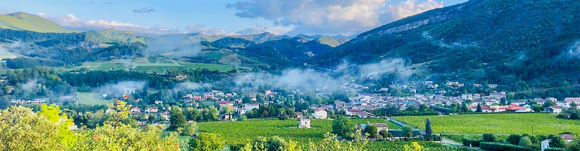 sildalis france