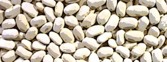 Zyban Pharmacie Online